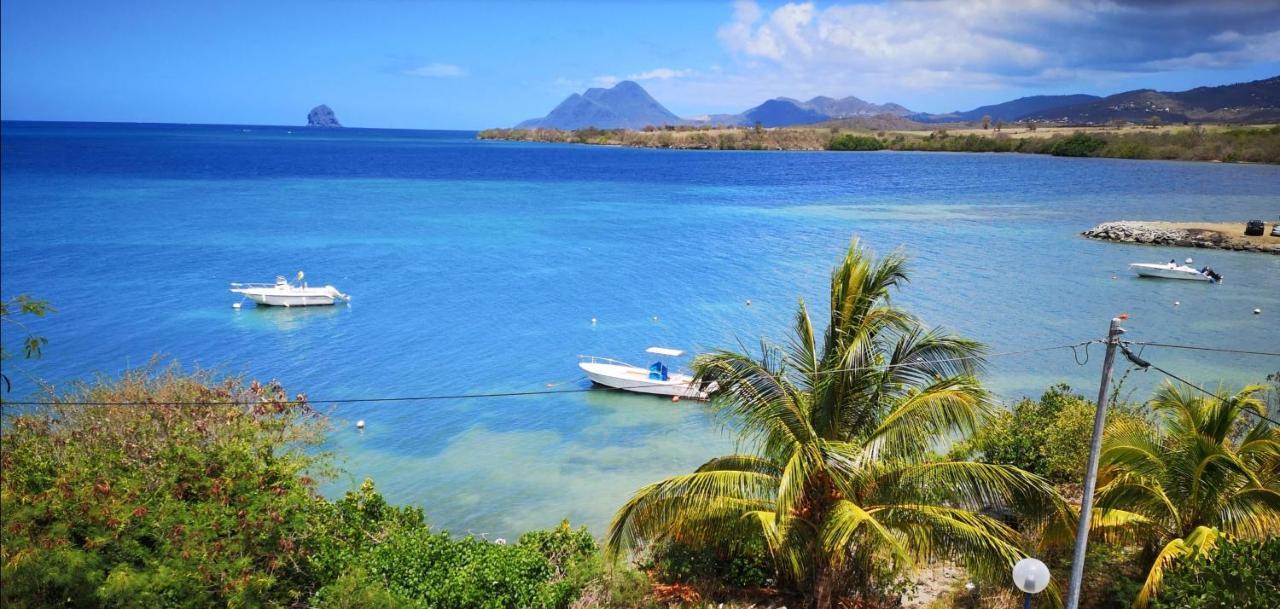 T2 Les Pieds Dans L'Eau Face A La Mer Des Caraibes Sainte Luce - Trois Rivieres Exterior foto