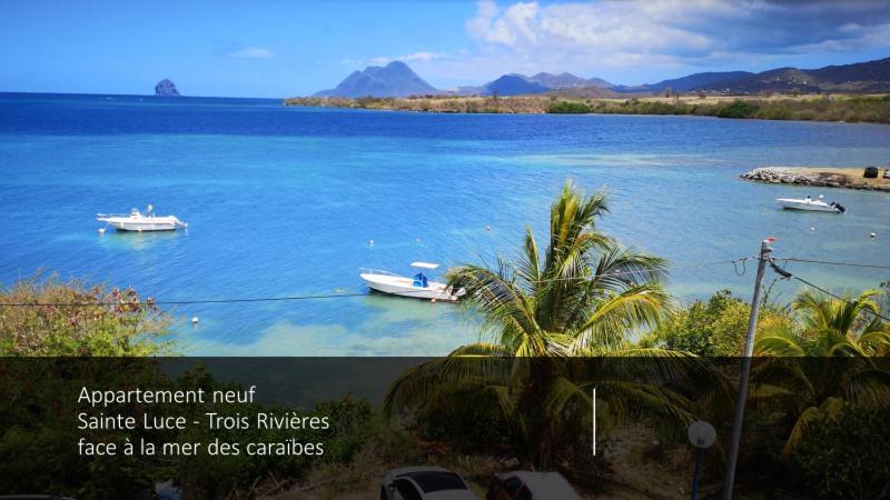T2 Les Pieds Dans L'Eau Face A La Mer Des Caraibes Sainte Luce - Trois Rivieres Exterior foto